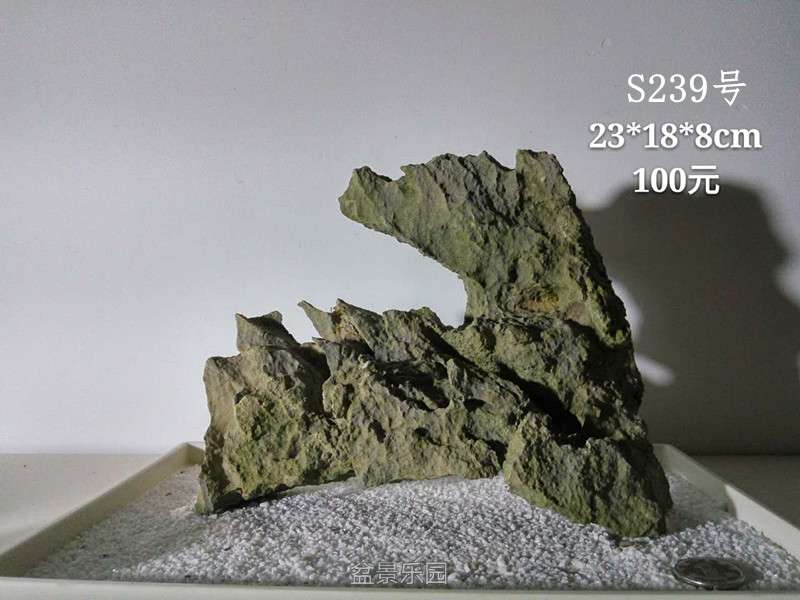 210910ci7waargbqavsbqu.jpg