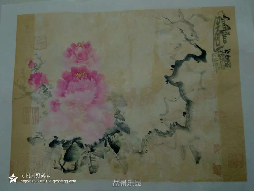 184654ueohv67u769thoop.jpg