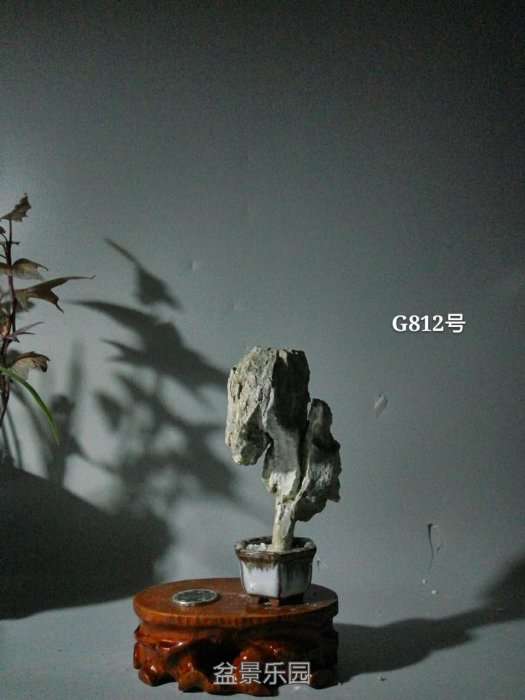 g812.jpg