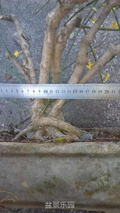 psb9999.jpg
