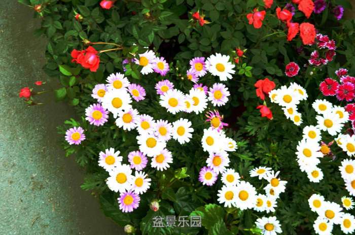 140719jhw9wp9s89flsfst.jpg