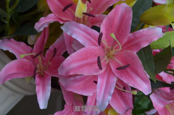 175433cgi2h2y79iirxi8t.jpg