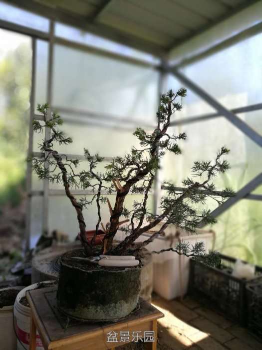 ΢ͼƬ_20170724215927.jpg