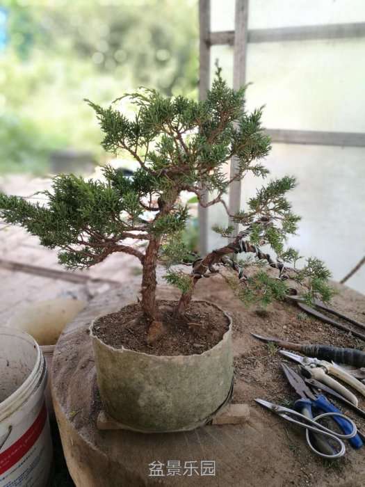 ΢ͼƬ_20170805143423.jpg