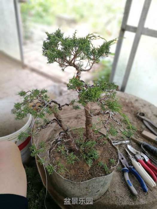 ΢ͼƬ_20170805143426.jpg
