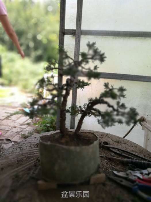 ΢ͼƬ_20170805143436.jpg