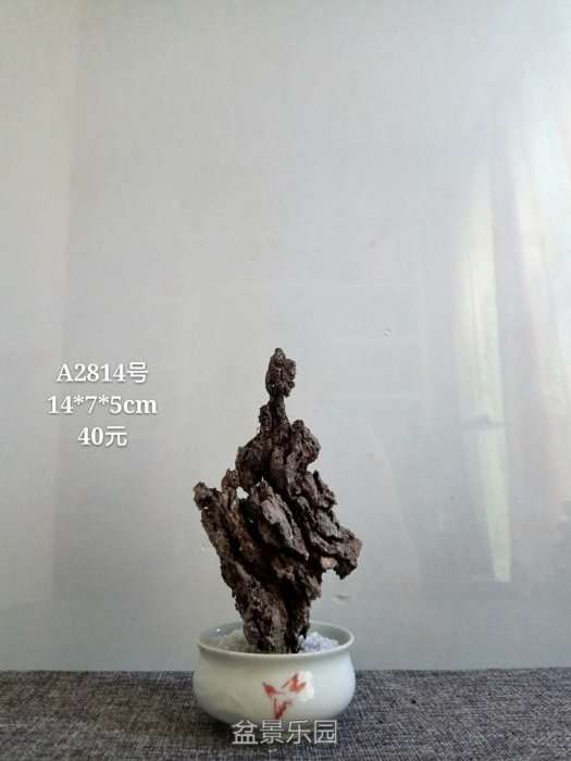 a2814.jpg