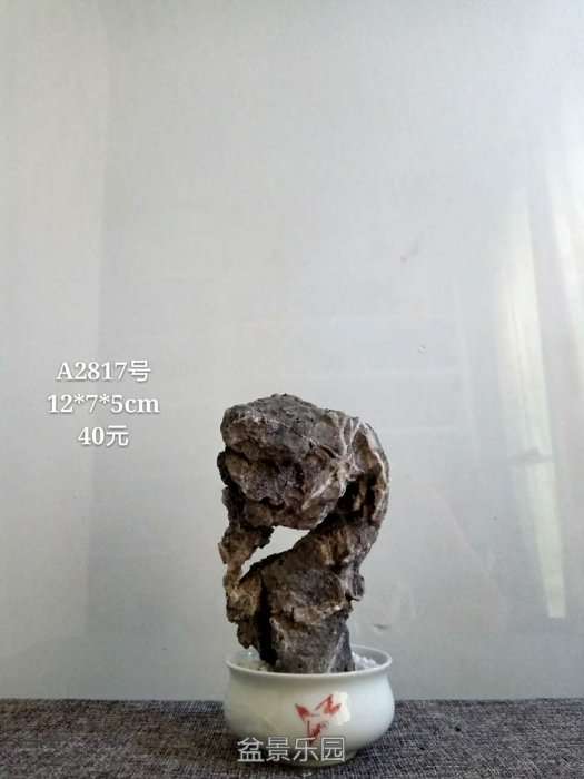 a2817.jpg