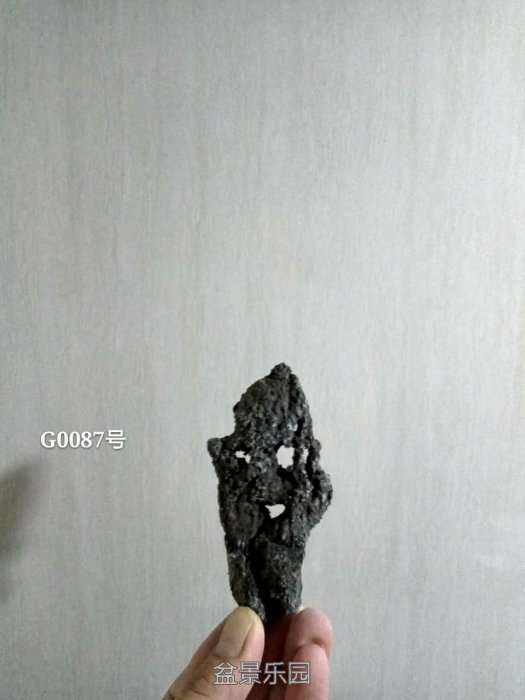 g0087.jpg