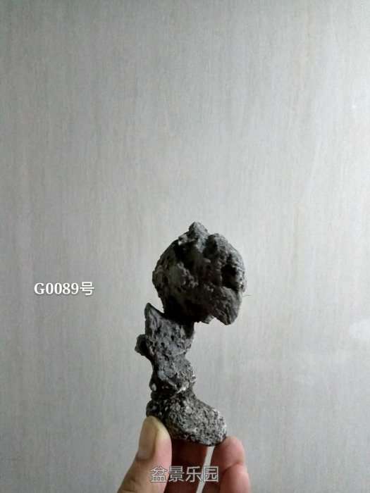 g0089.jpg