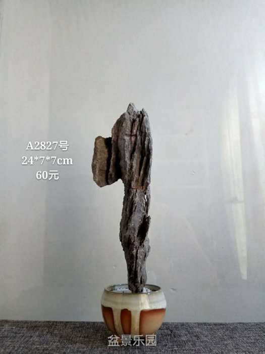 a2827.jpg