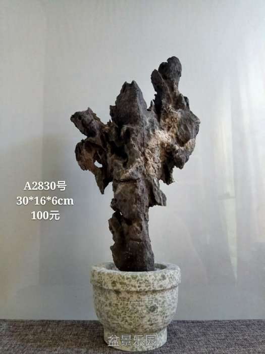 a2830.jpg