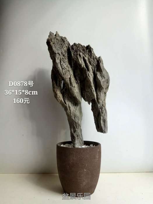 d0878.jpg