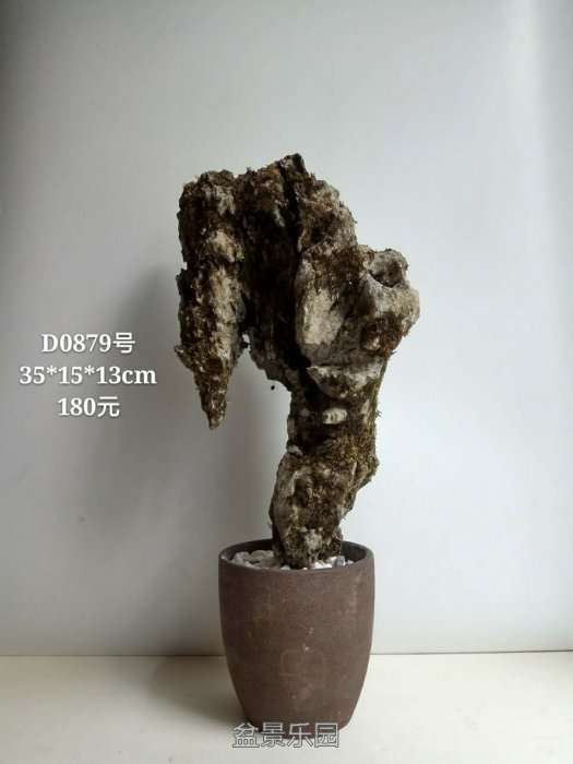 d0879.jpg