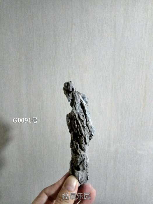 g0091.jpg