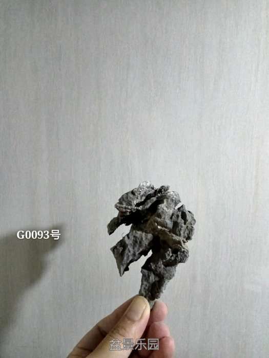 g0093.jpg