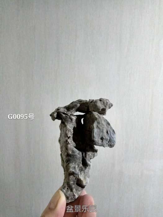 g0095.jpg