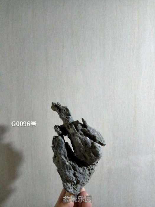 g0096.jpg