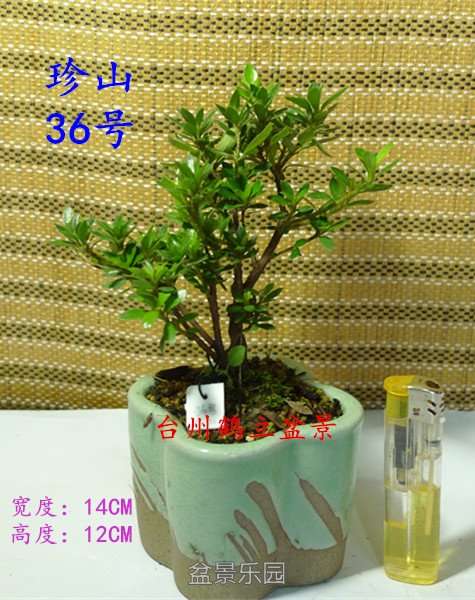 36_副本.jpg