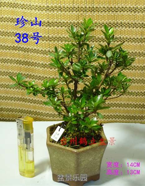 38_副本.jpg