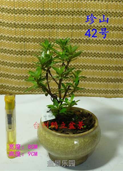 42_副本.jpg