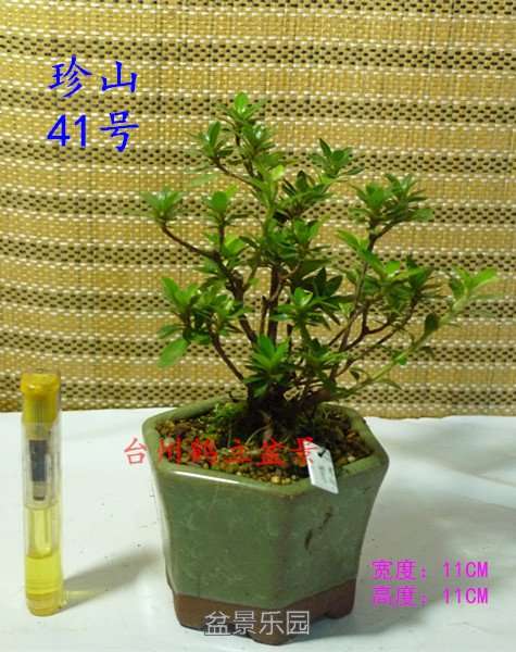 41_副本.jpg