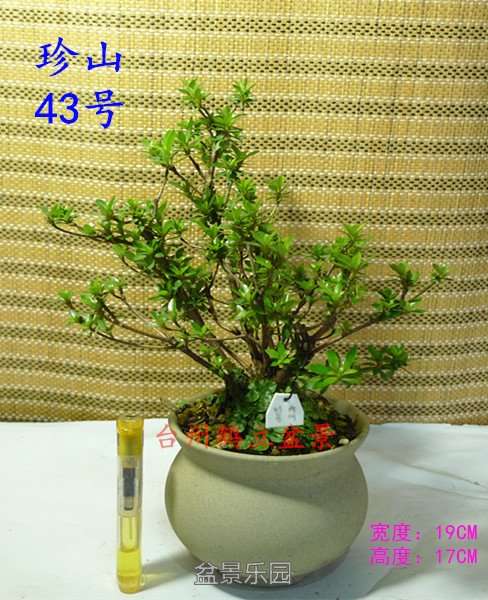 43_副本.jpg