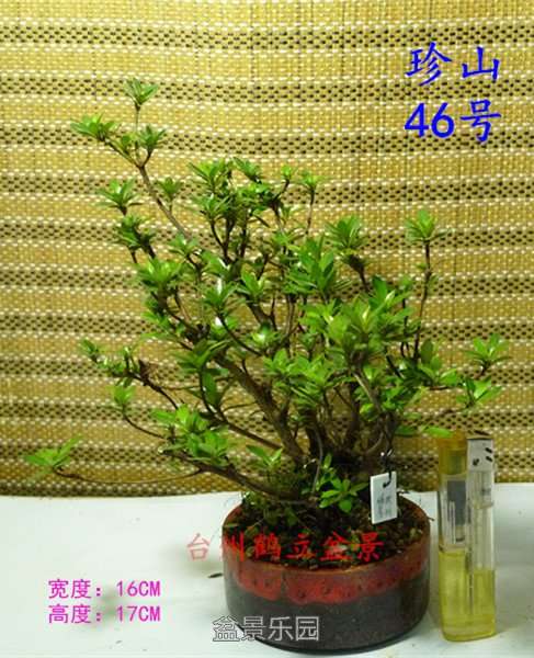 46_副本.jpg