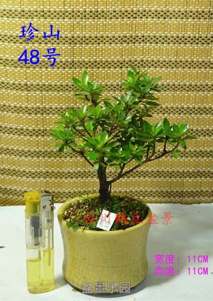48_副本.jpg