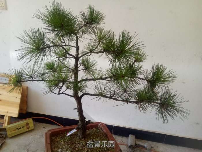 IMG20170916120814_.jpg