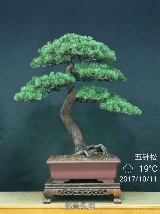QQͼƬ20171012155104.jpg