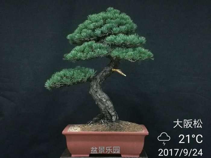 QQͼƬ20170927094847.jpg