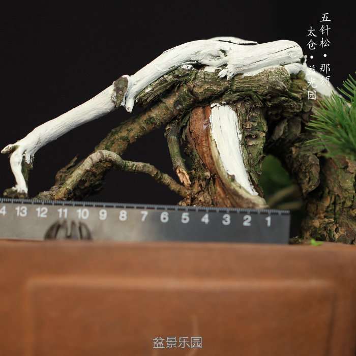G84987-07.jpg