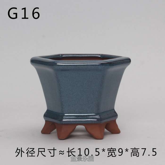 G16.jpg