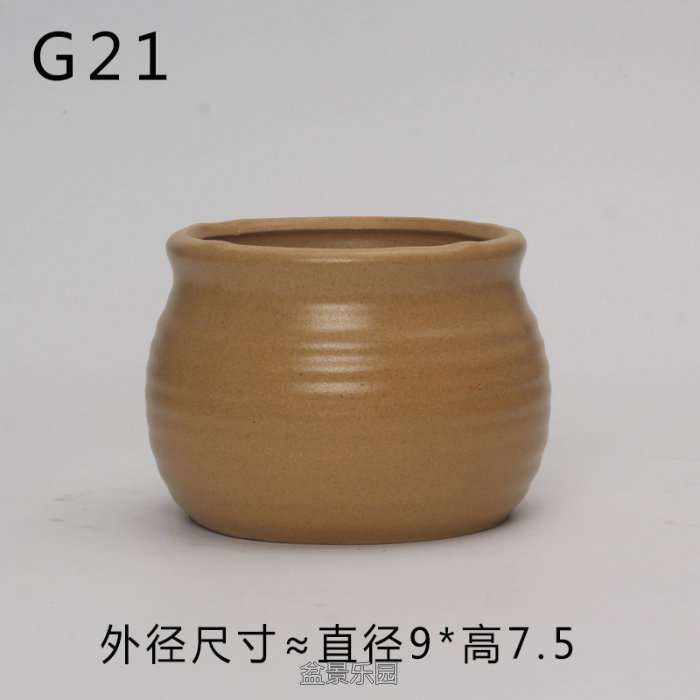 G21.jpg