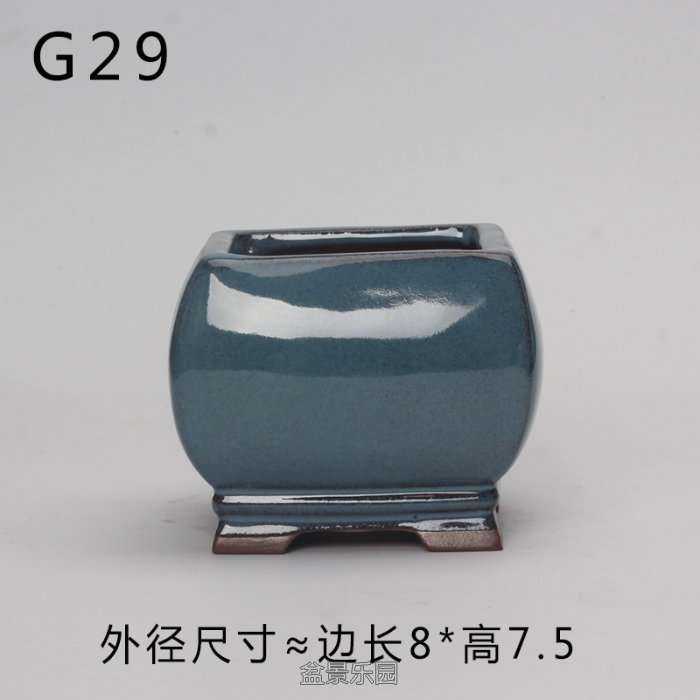 G29.jpg
