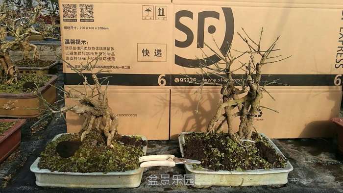 微信图片_20171218173034.jpg