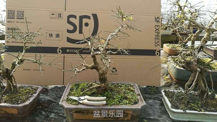 微信图片_20171218173047.jpg