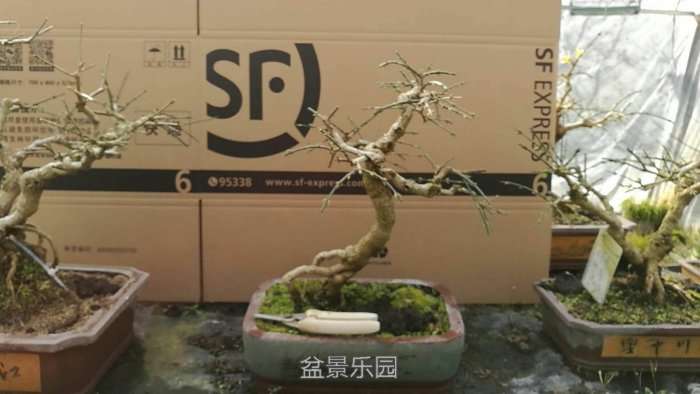 微信图片_20171218173102.jpg