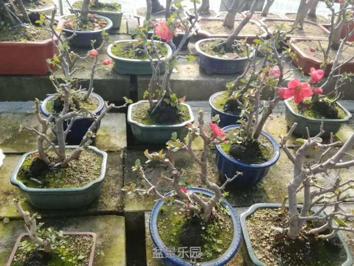 微信图片_20171218173129.jpg