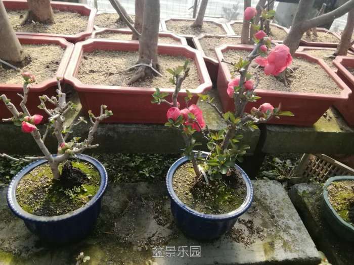 微信图片_20171218173138.jpg