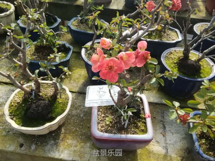 微信图片_20171218173150.jpg