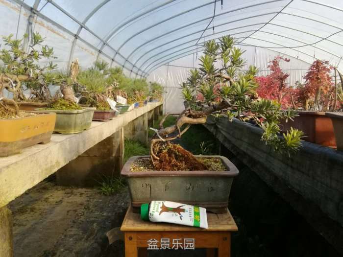 微信图片_20171219201904.jpg