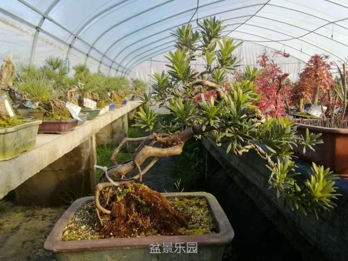 微信图片_20171219201911.jpg