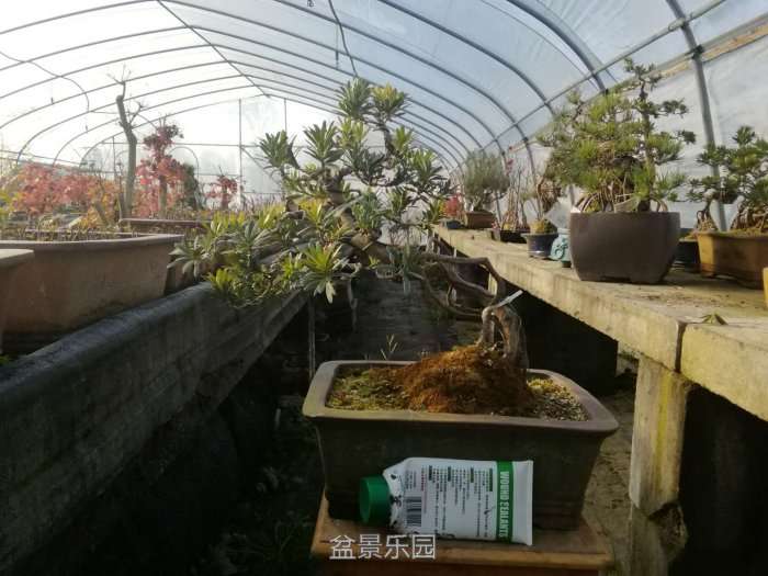 微信图片_20171219201919.jpg