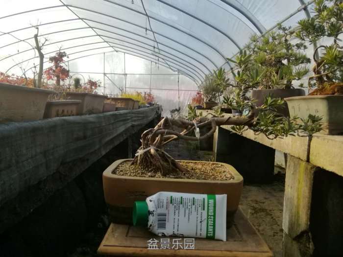 微信图片_20171219201930.jpg