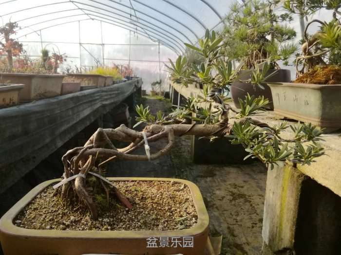 微信图片_20171219201933.jpg