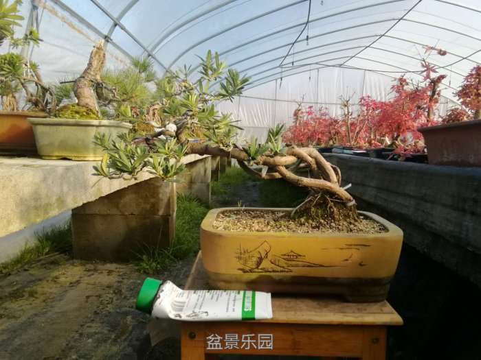 微信图片_20171219201940.jpg