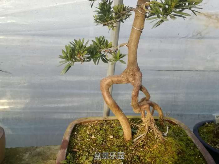微信图片_20171219201959.jpg