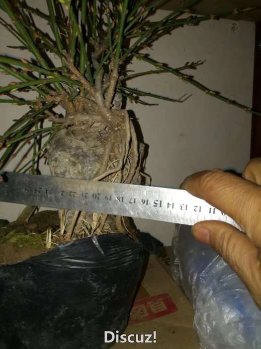 psb4.jpg